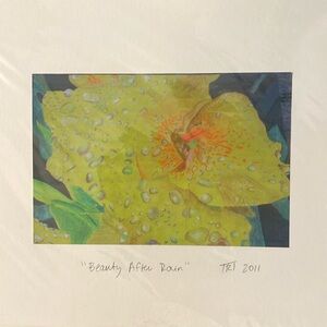 Art print “beauty after rain” original oil pastel